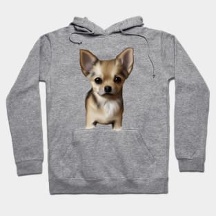 Cute Chihuahua Drawing Hoodie